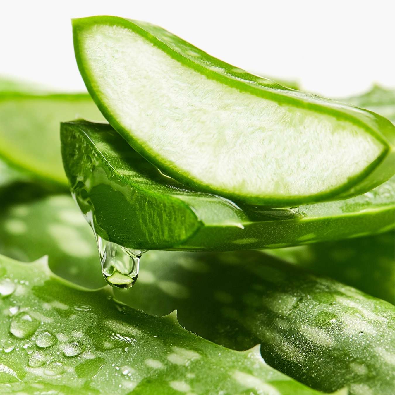 एलोवेरा जेल से स्किन पर कर फ़ायदा होता है (Aloe vera gel has benefits for the skin)